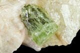 Yellow-Green Fluorapatite Crystal in Calcite - Ontario, Canada #137095-2